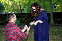 Greyson and Ally's Engagement
